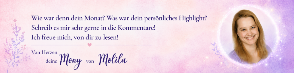 Molila Banner Rückblicke Monatsrückblick