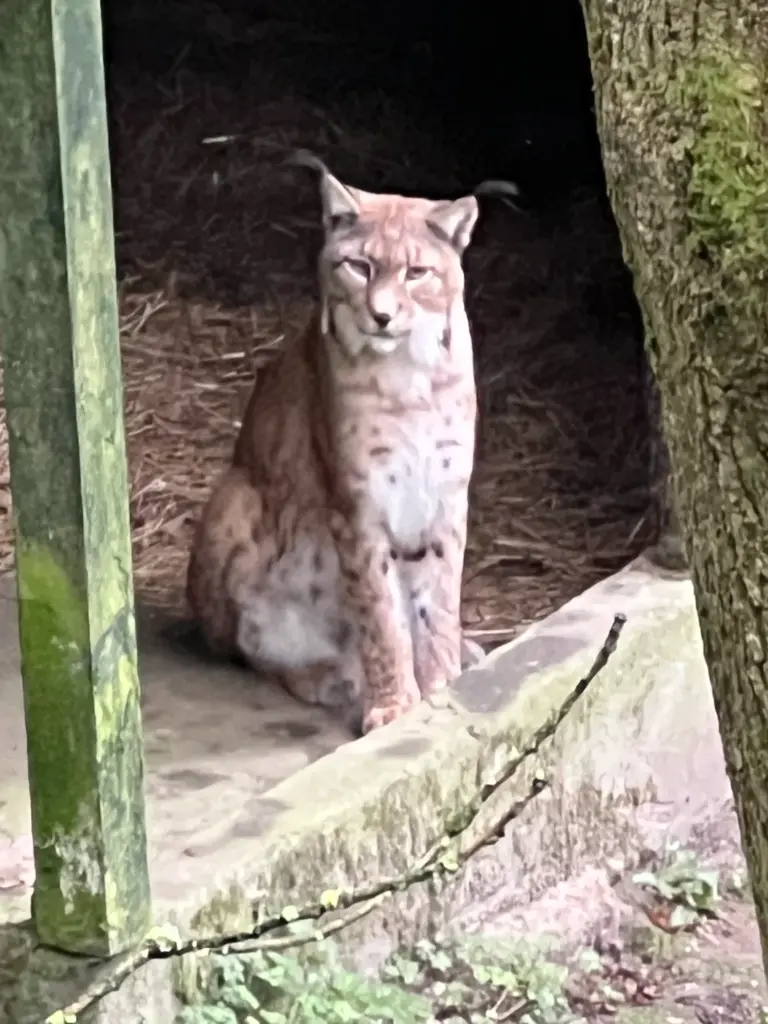 Monatsrückblick September 2026 - Besuch im Tierpark