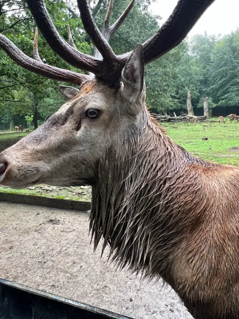 Monatsrückblick September 2026 - Besuch im Tierpark